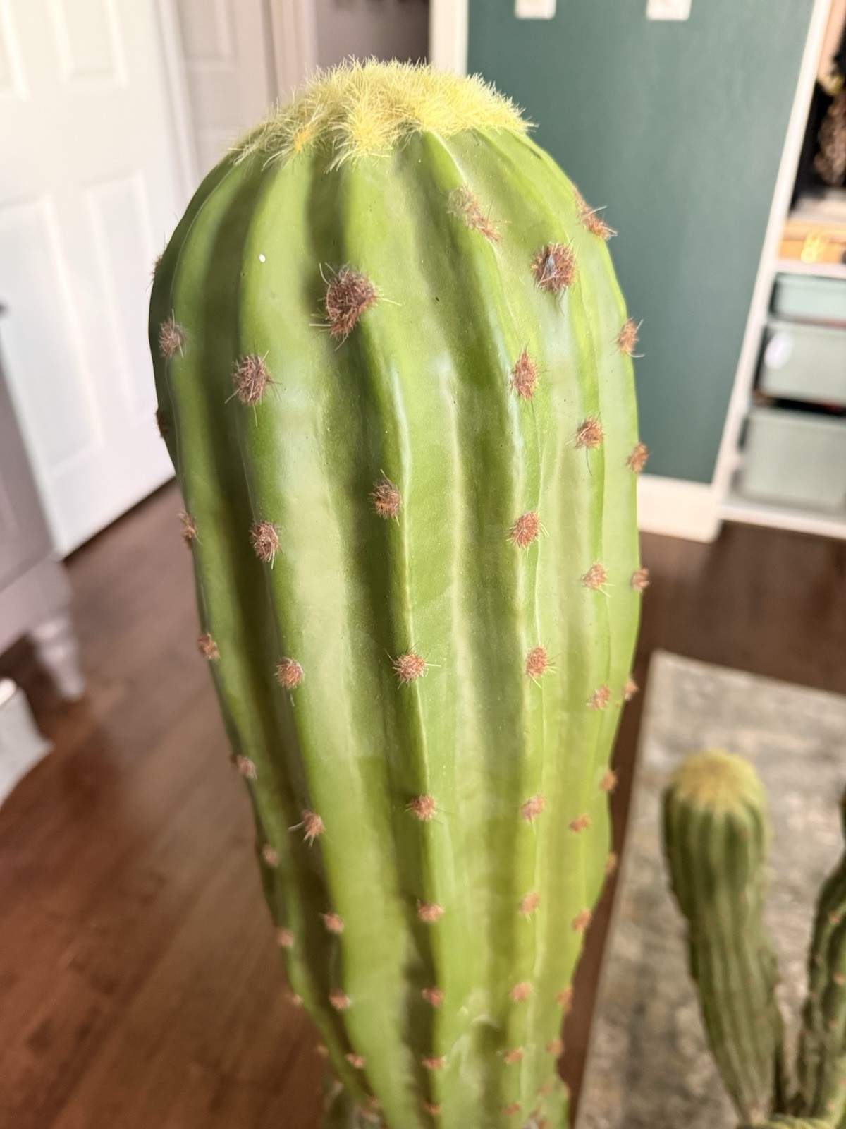 Artificial Cactus Set of 2 Faux Plant