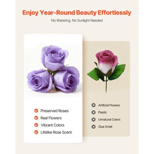 Forever Flowers, 50 Preserved Roses in a Box, Eternal Flowers Immortal Bouquet B