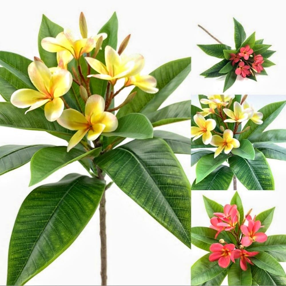 35.5 Inch Artificial Flowers Artificial Frangipani Flower 2 Stems Lifelike Re…