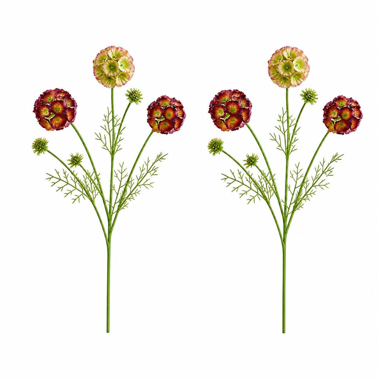 Artificial Scabiosa Flower Stems Green Blush Burgundy Faux Wildflower Cottage Fl
