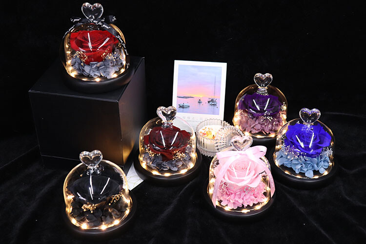 Eternal Rose flower Preserved rose everlasting rose flower gift with Led Light