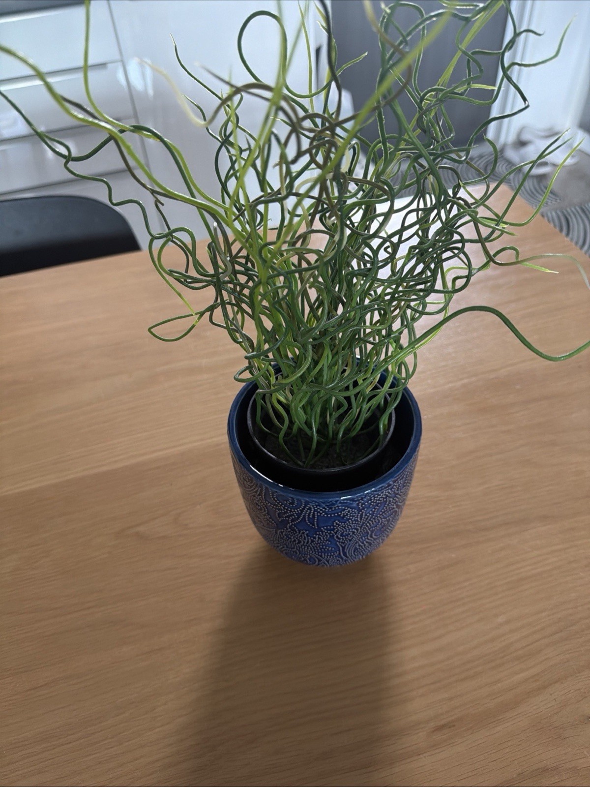 Artificial Potted Plant (Faux Plant for Home/Office Decor Green) W Blue Ceramic