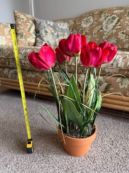 Spring flower bouquet of Red tulips in a pot (5 pieces)