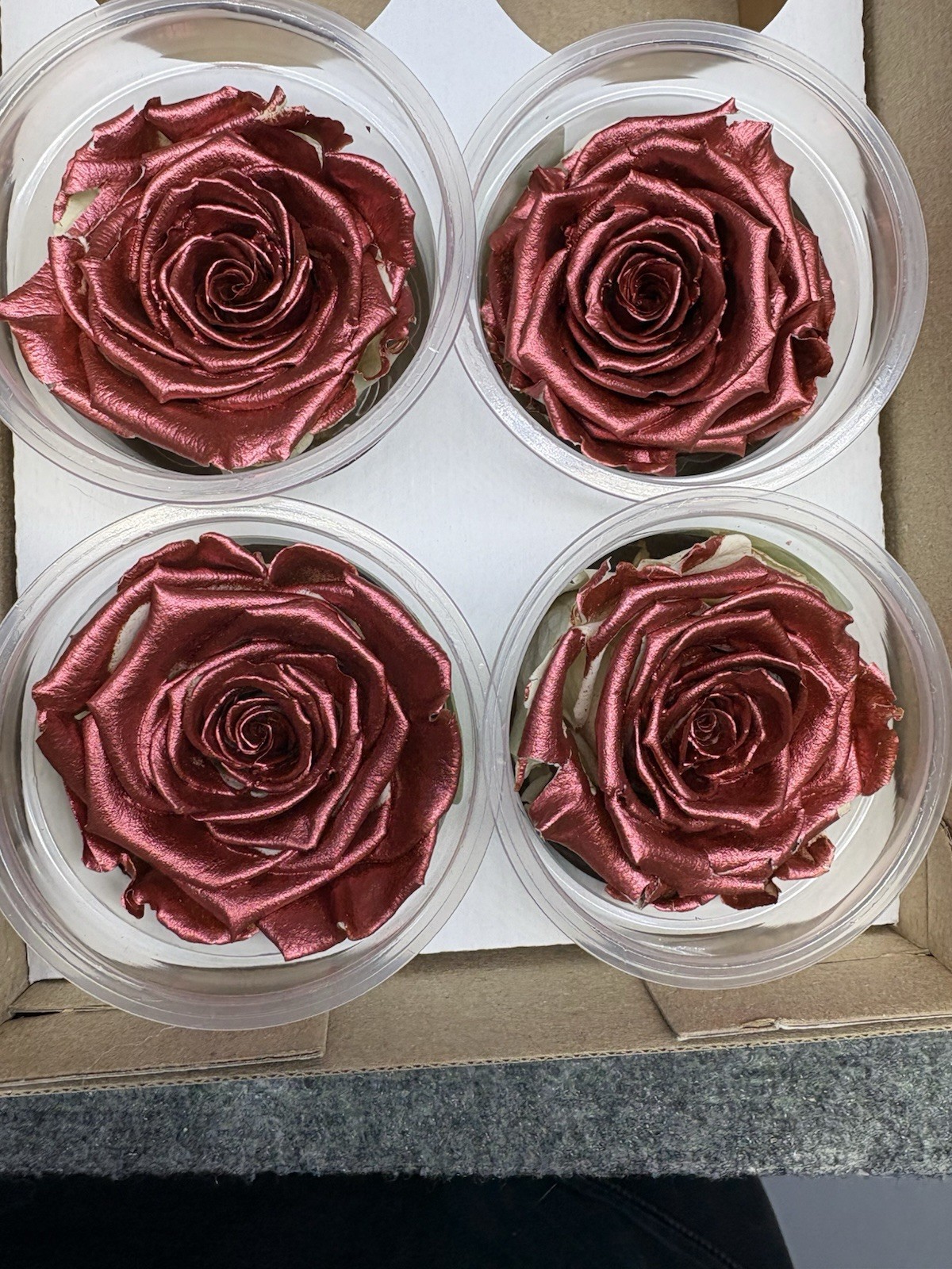 Eternal Roses Bulk 10 Packs of 6