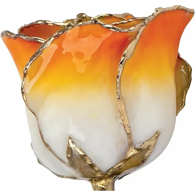 Genuine 24K Gold Orange Rose