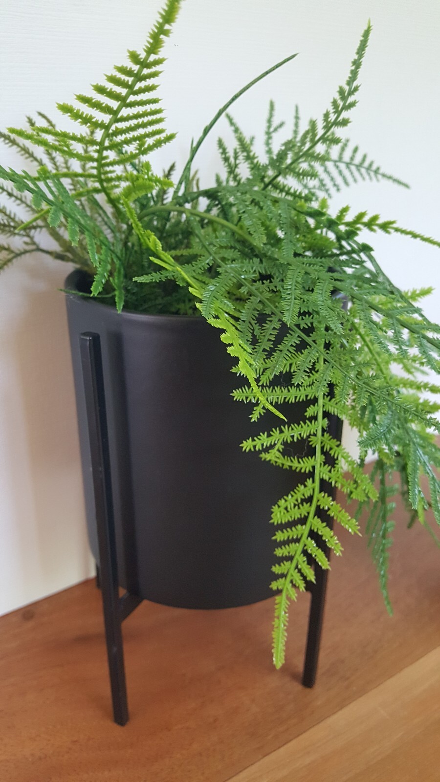 Artificial Fern Stems Matte Black Cylinder Pottery Planter/Stand
