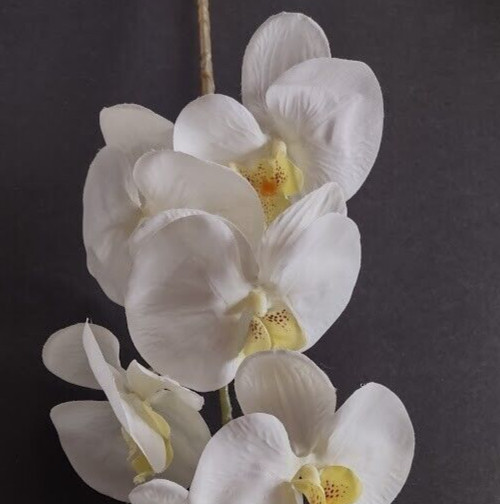 Artificial Phalaenopsis Orchid flower stem WHITE