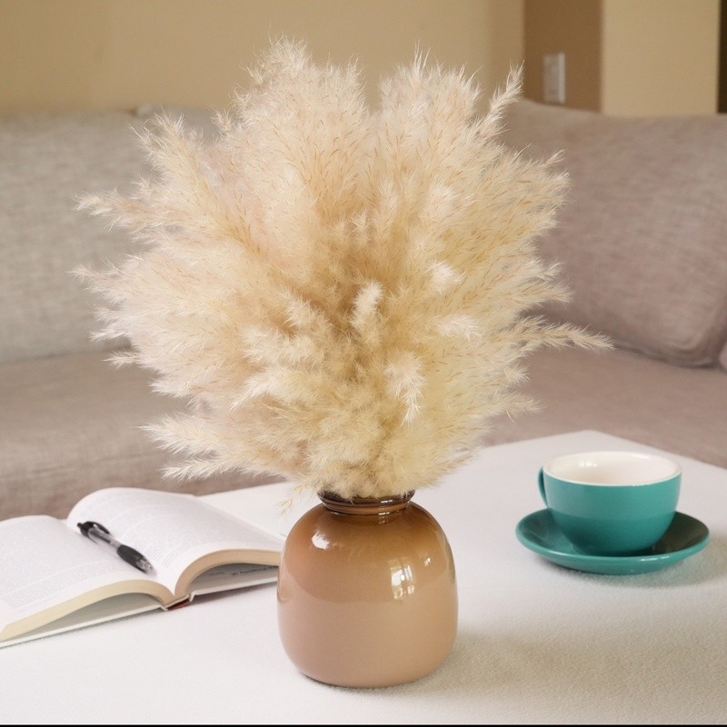 Dried Pampas Grass Arrangement in Brown Ceramic Vase Natural Home Office Decor