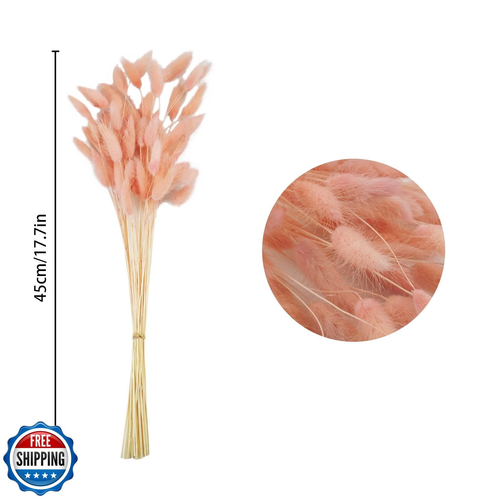 Uieke 17’’ Natural Bunny Tails Dried Flowers, 240 Pcs Dried Lagurus Ovatus, D
