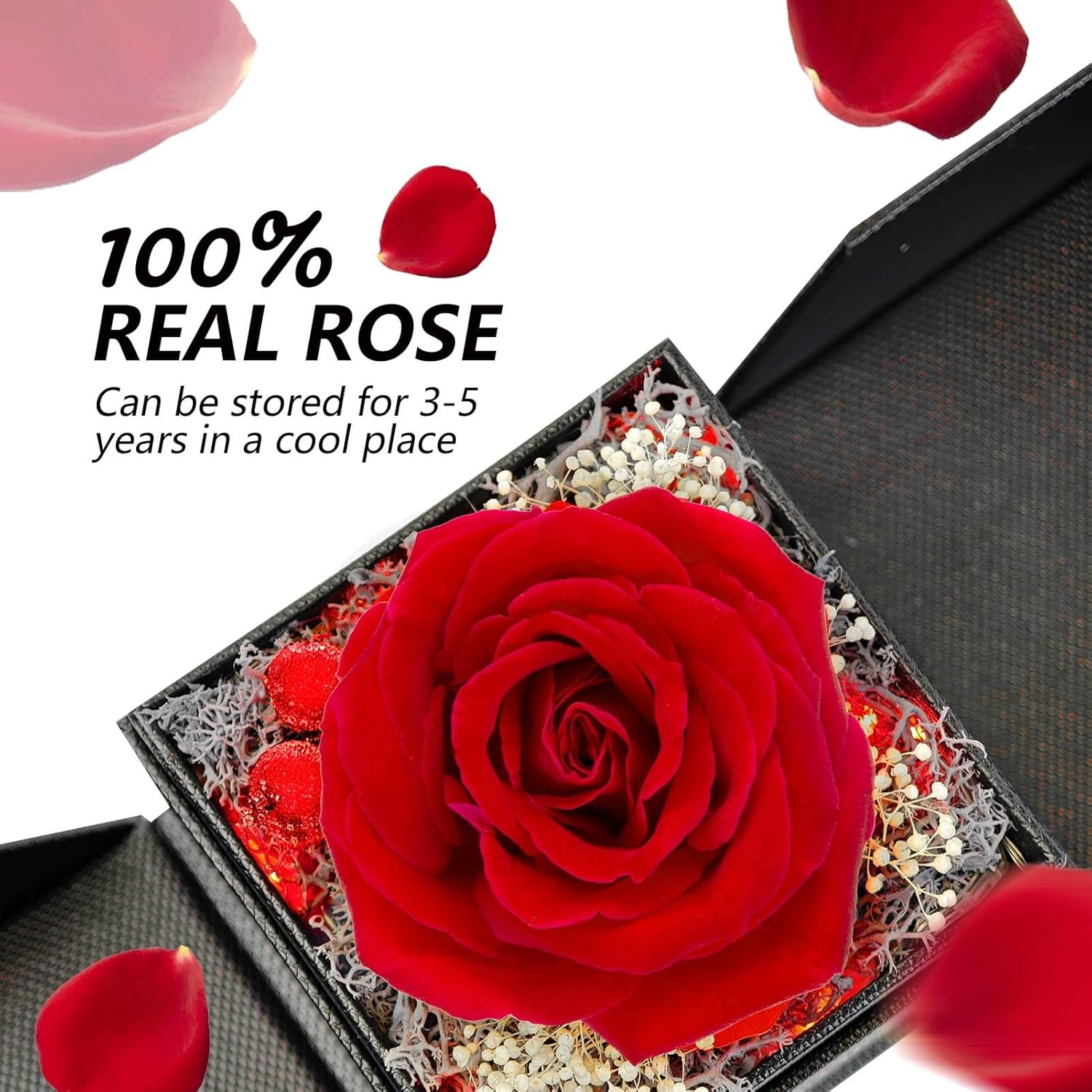 Preserved Real Red Rose with Matching Red LED Light & 100 Languages Necklace – E