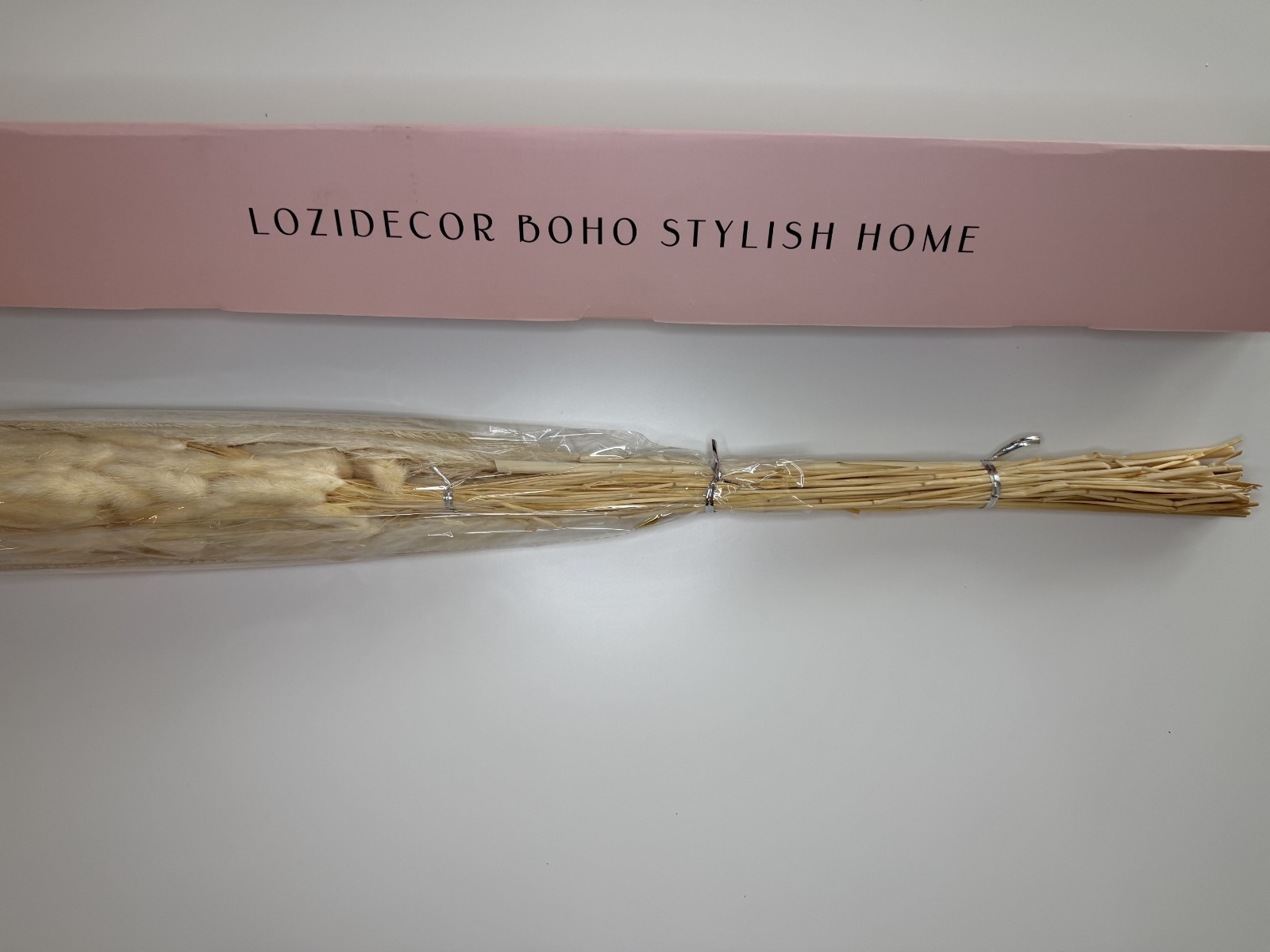 Dried Pampas Grass Stems – White/Beige | 20 PCS Bundle | Home Décor, Wedding