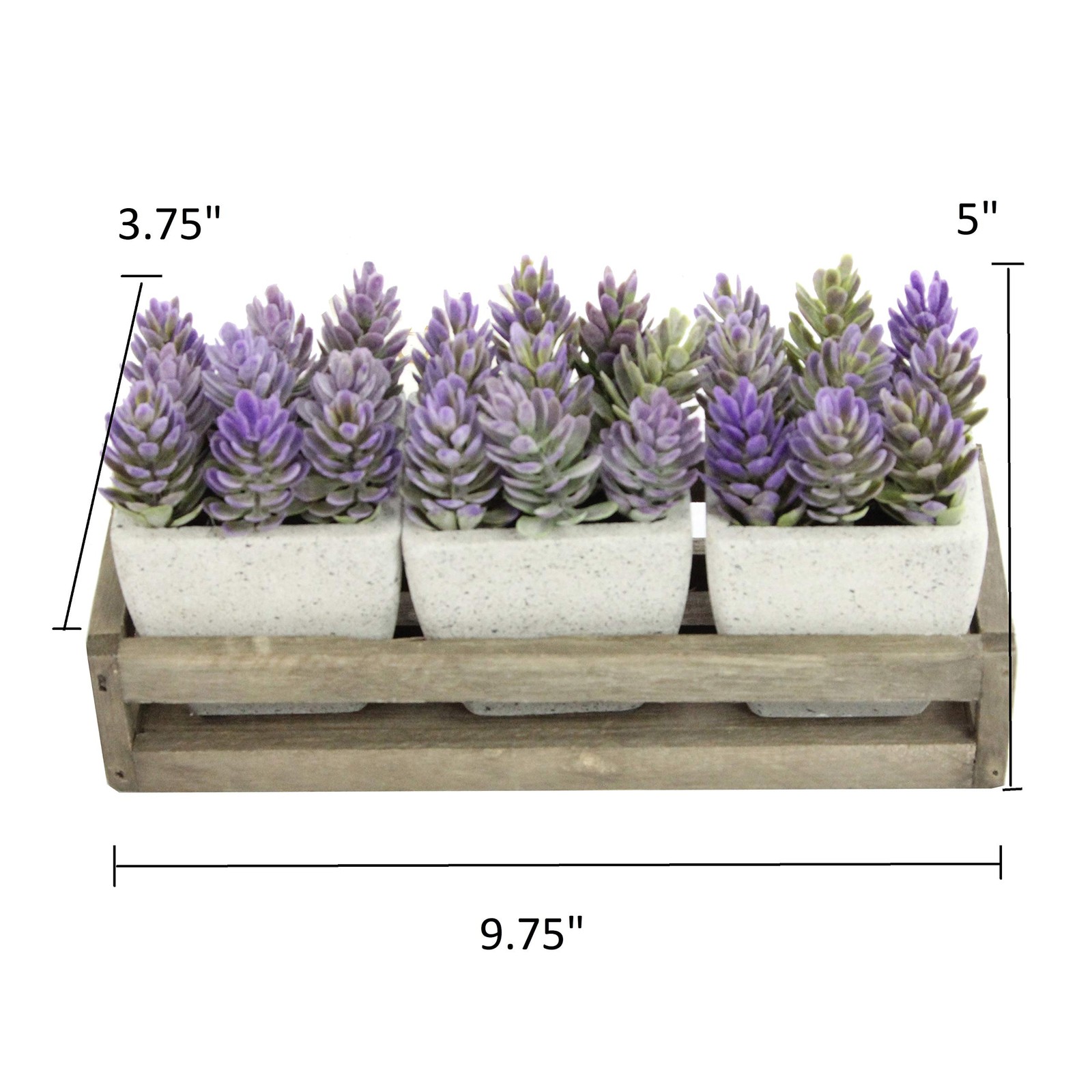 3pcs Succulents Terracota Rustic Style W/Wooden Tray Indoor Spring Summer Fau…