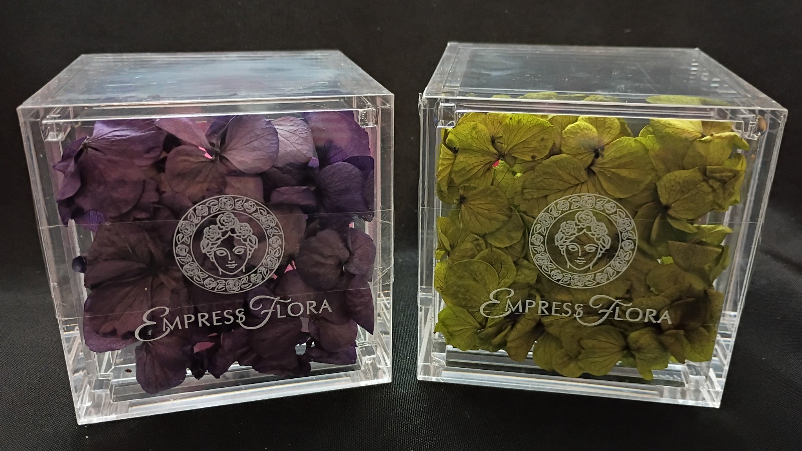 🌹Empress Flora 🌹Preserved Roses in 4″ x 4″ Acrylic Cases🌹Set of 2