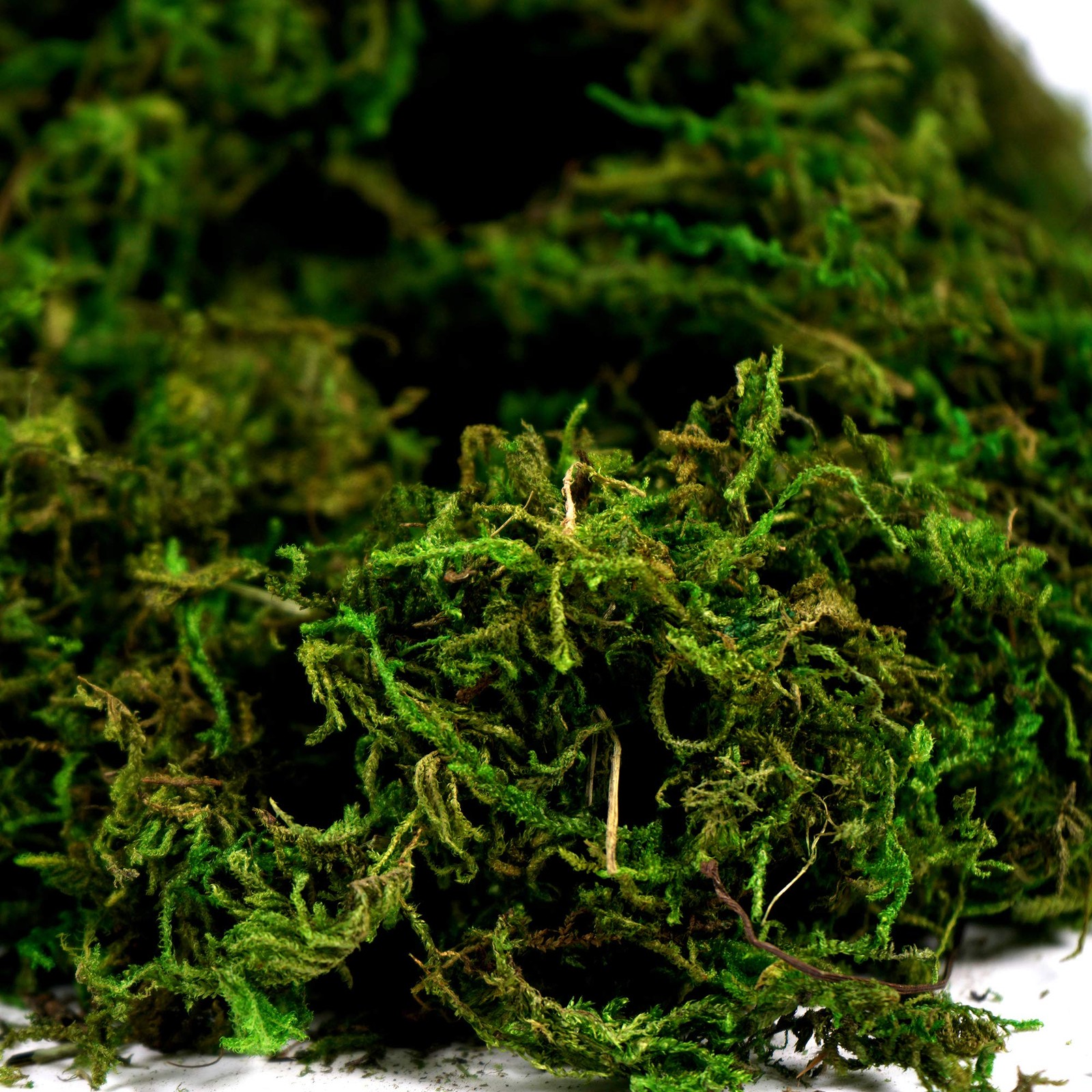 Artificial Moss Fake Green Grass for Centerpieces Home Kitchen Garden Decor (…