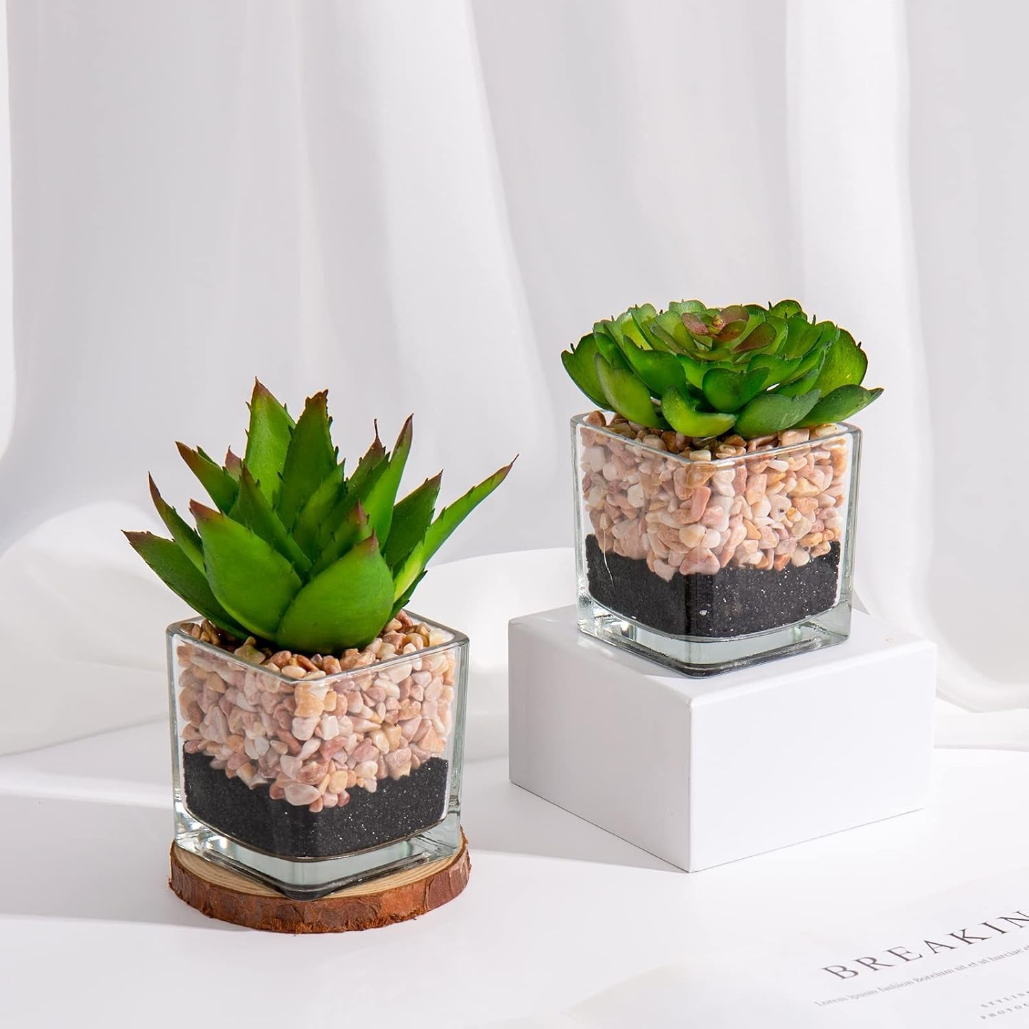 Set Of 3 Succulents Plants Artificial In Glass Pots Small Fake Succulents Plants