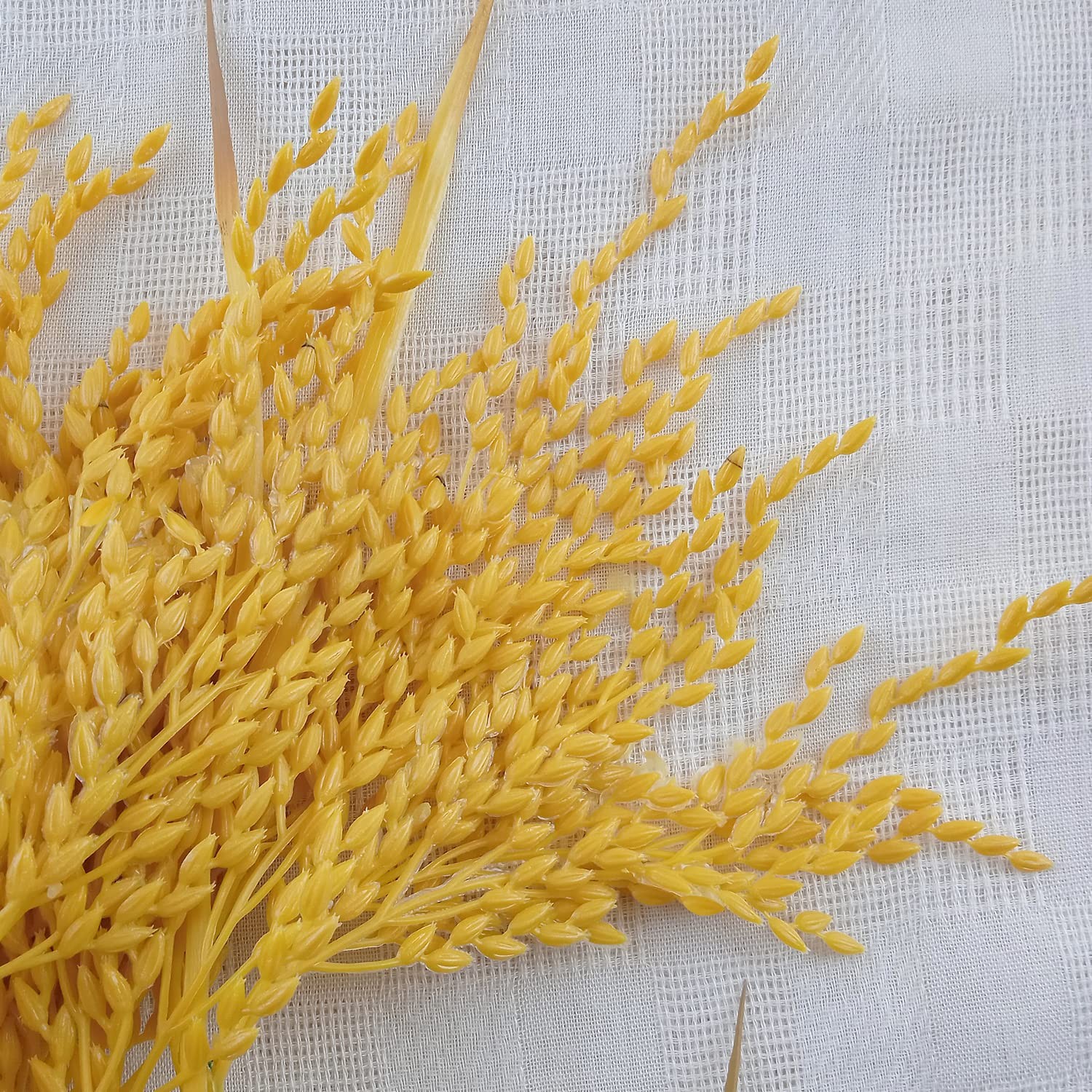 Fake Paddy Grain Ear of Rice Plant Green Plants Artificial for Home Decoratio…