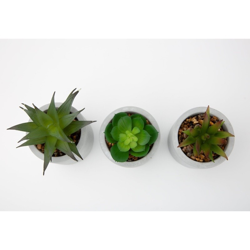 3 Piece Faux Succulent Set Artificial Plants Gray Ceramic Planters Indoor Decor