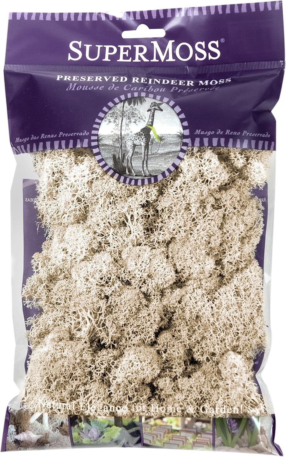 Natural Preserved Reindeer Moss, 120 cu in – Eco-Friendly Home Decor Essential