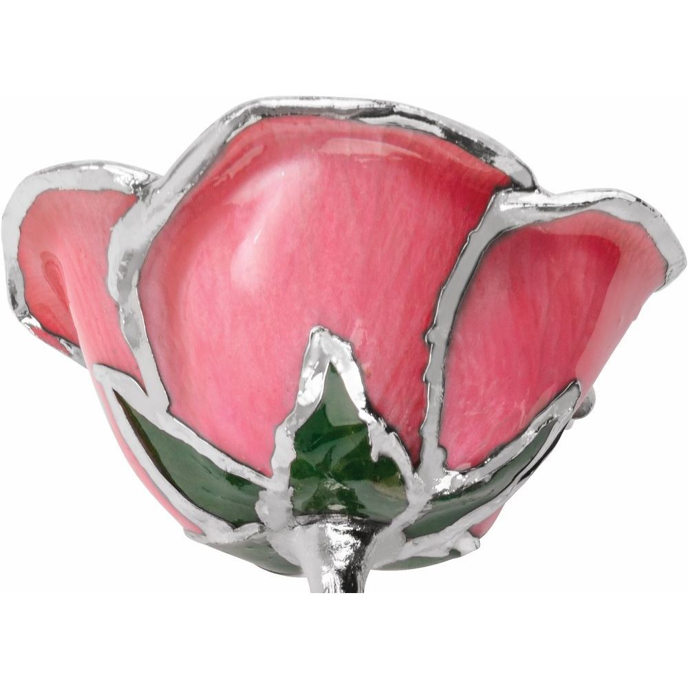 Platinum Trim Pink Lacquer Real Rose Valentine’s Day Holiday Gift
