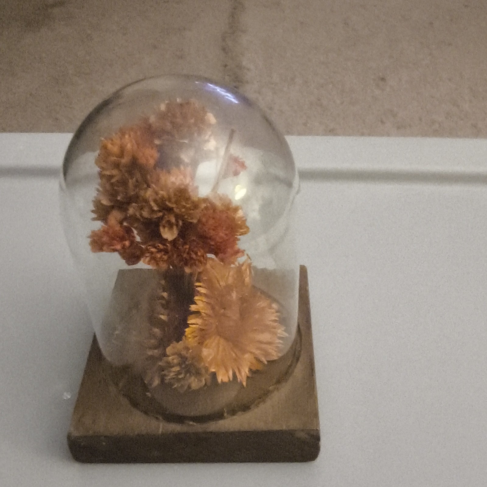 Dried Flower Arrangement Centerpiece Under Glass Dome Cloche on Wood Base