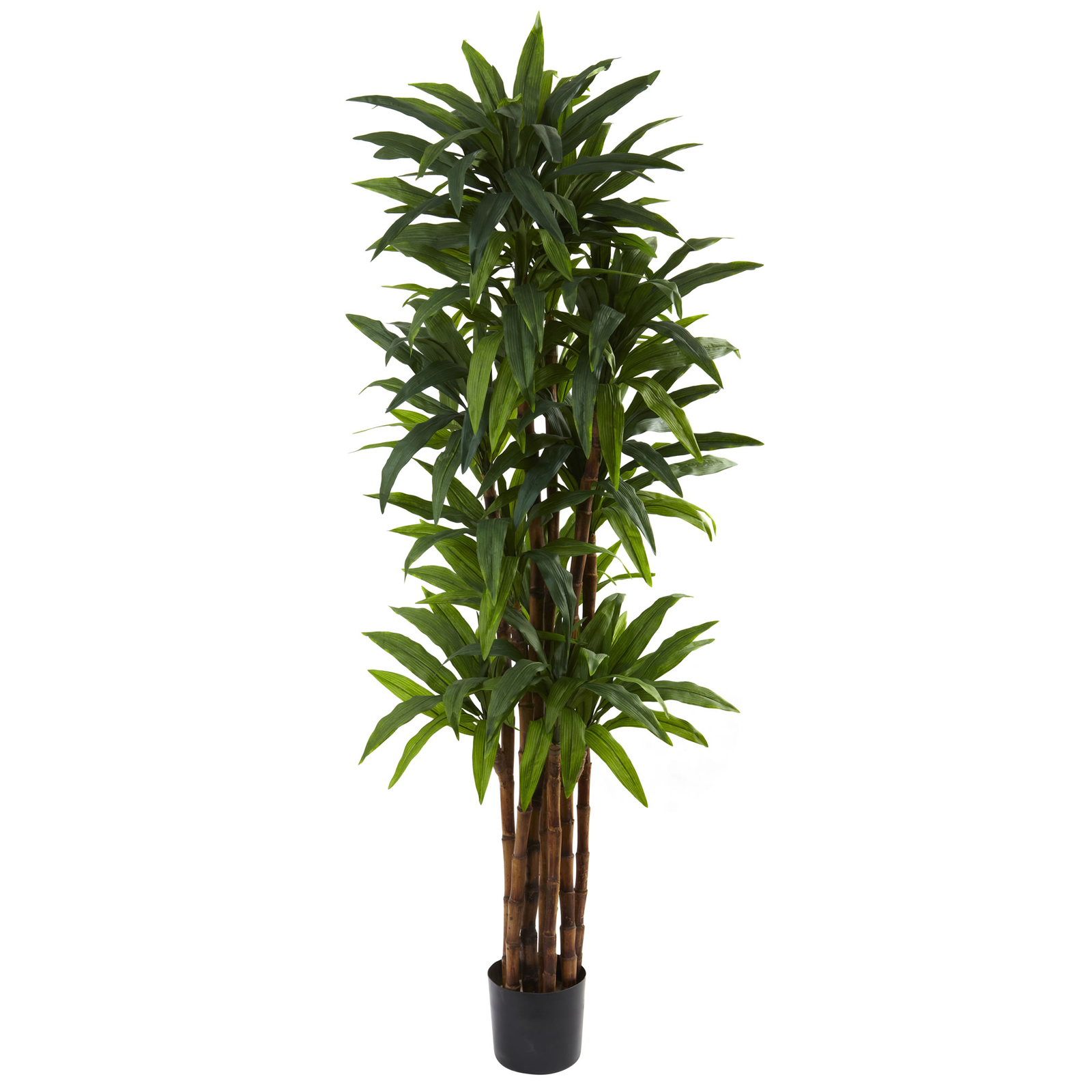 Dracaena Tree faux Plant Natural 6.5’ Decor