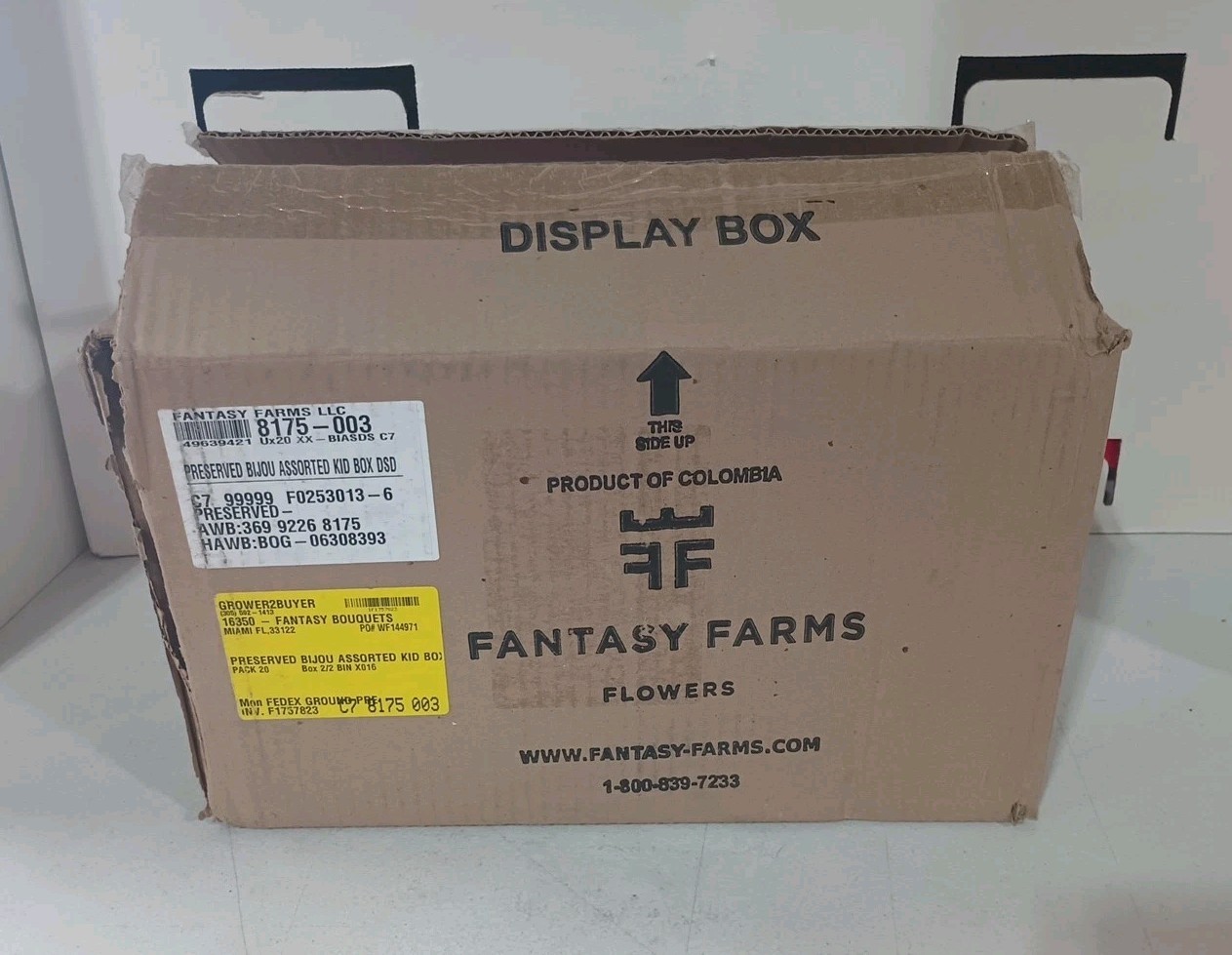 Fantasy Farms Flowers Display Set Of 20 Bijou Roses