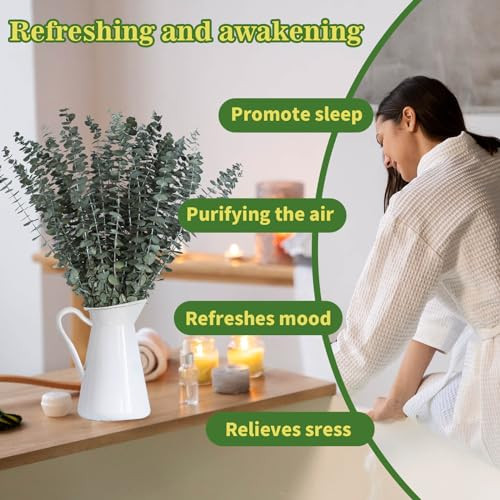 11 PCS Real Dried Eucalyptus for Shower Hanging Decor- 17” Large Eucalyptus