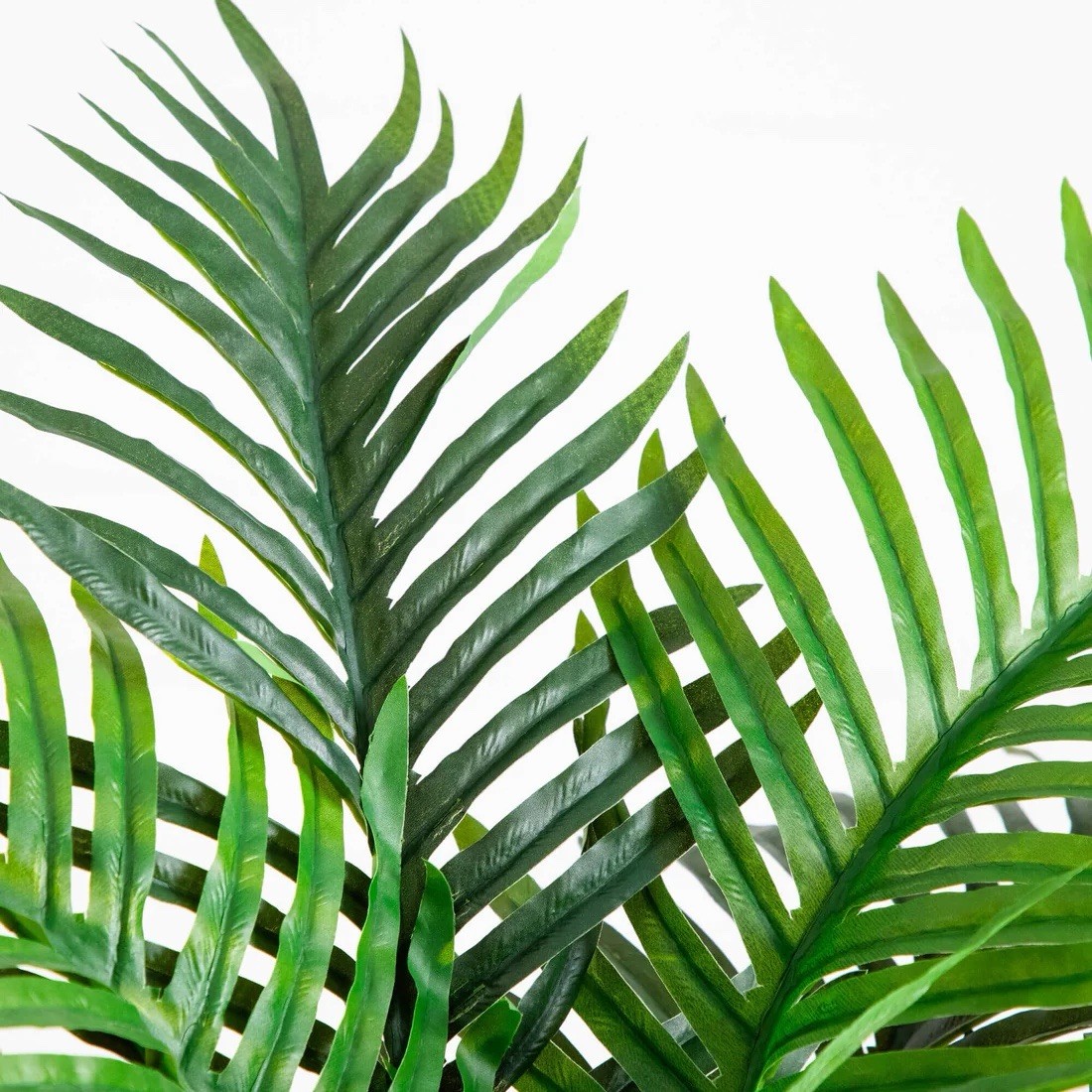 4′ UV Resistant Artificial Double Robellini Palm Tree (Indoor/Outdoor)
