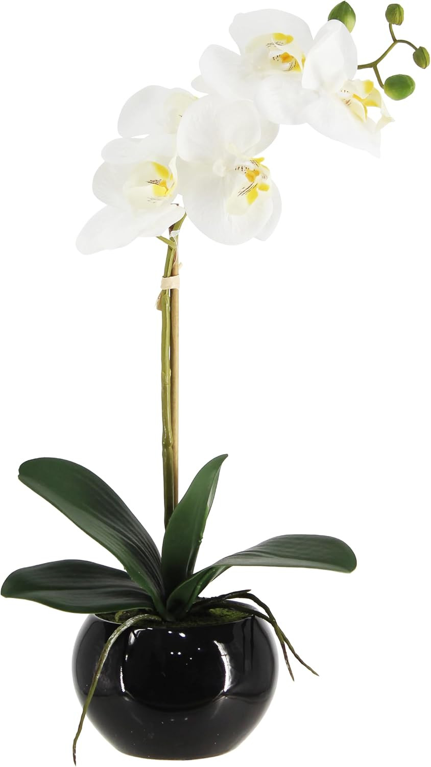 Real Touch Faux Orchid in Ceramic Pot, 16″ White Floral Centerpiece Decor