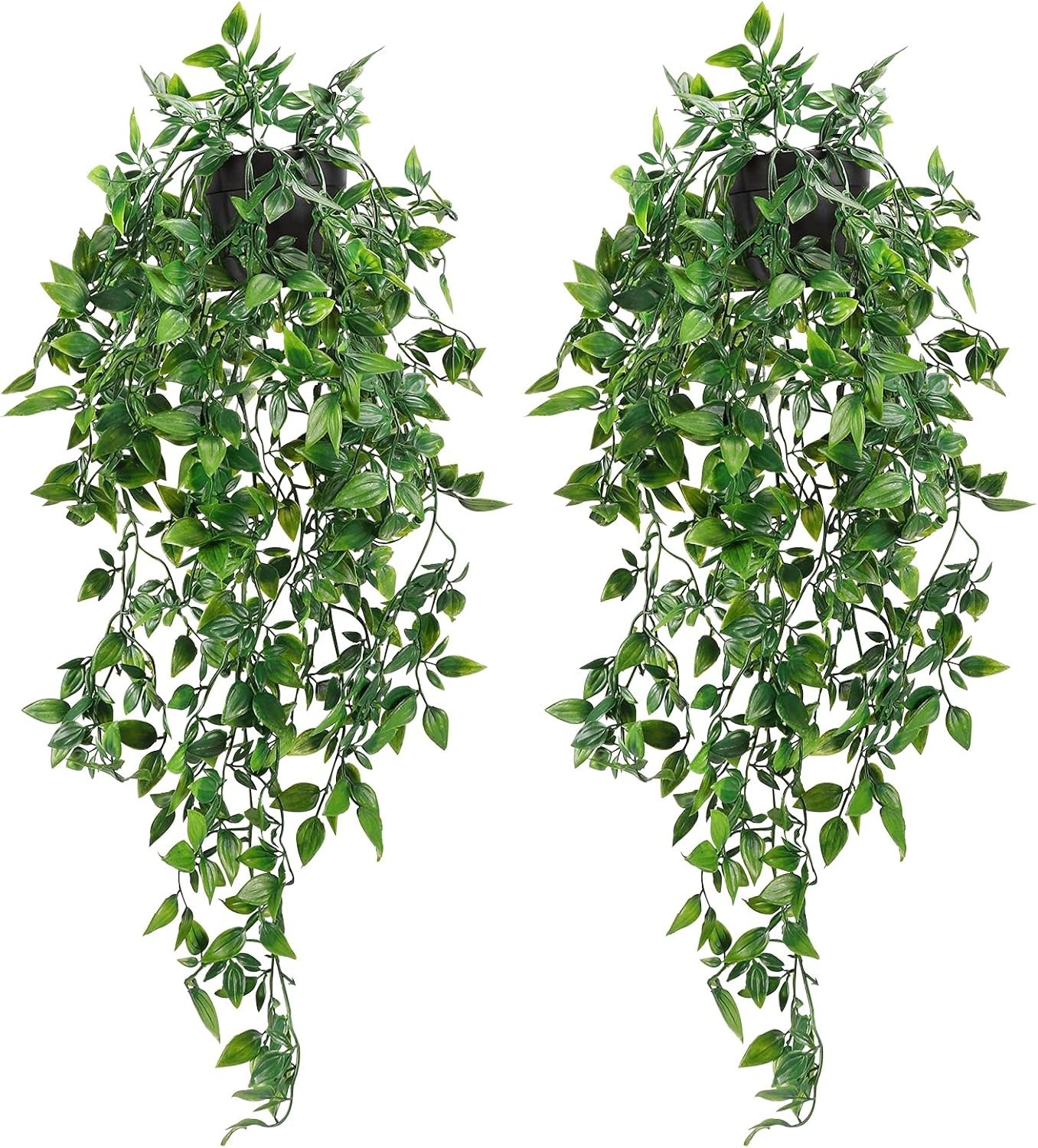 Maintenance-Free Hanging Plants for -Round Greenery – Indoor & Outdoor