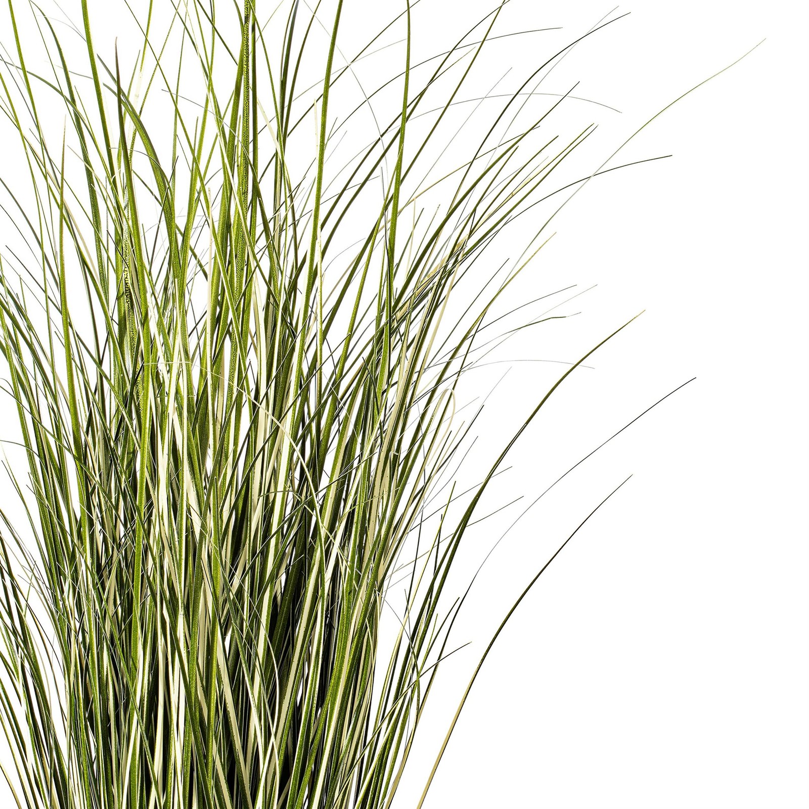 Vickerman 37″ Artificial Potted Native Green Grass.