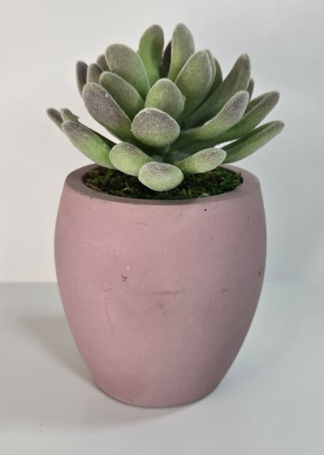 Modern Concrete Succulent in Pink Pot – Handmade Decor, No Water Needed!
