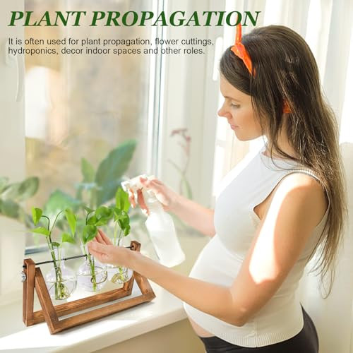Plant Propagation Station, Plant Terrarium with Wooden Stand, Unique Gardening