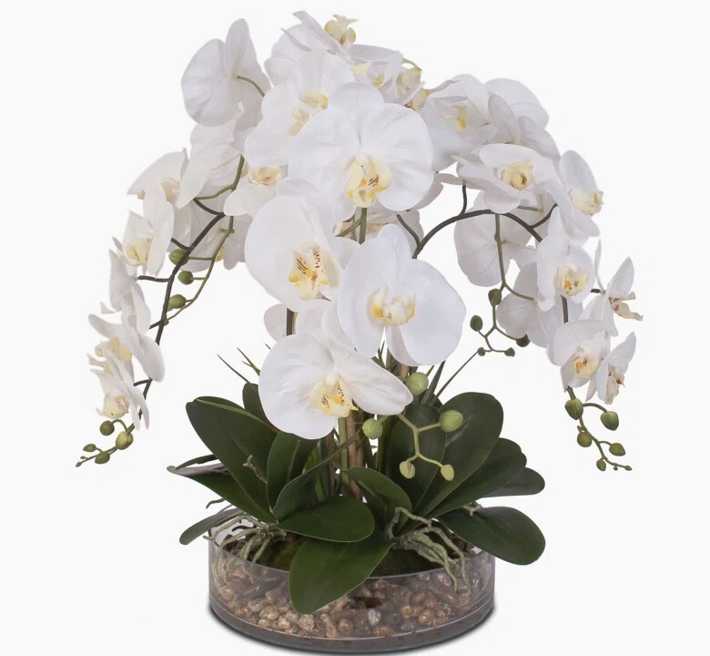 Bayou Breeze Large White Orchid Arrangement Centerpiece in Glass Bowl Rocks