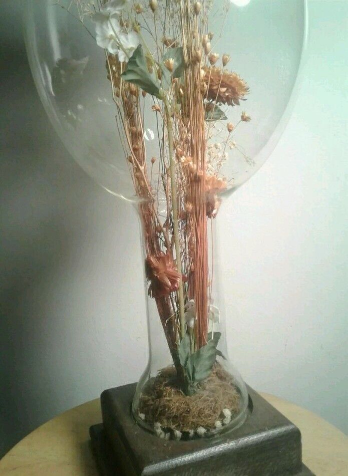 Vintage 1970s Dried Floral Home Decor Glass Display w/Wood Base