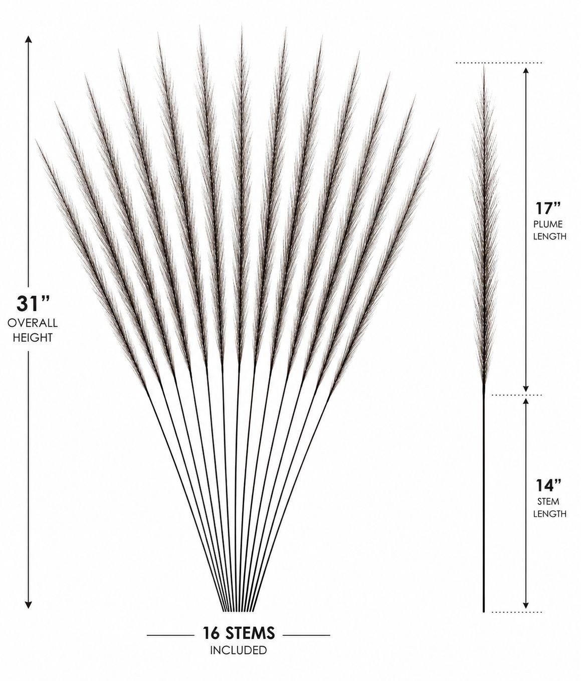 Black Pampas Grass Stems, 16 Artificial Wispy Faux Grass Stems, 31 Inch Tall Mod