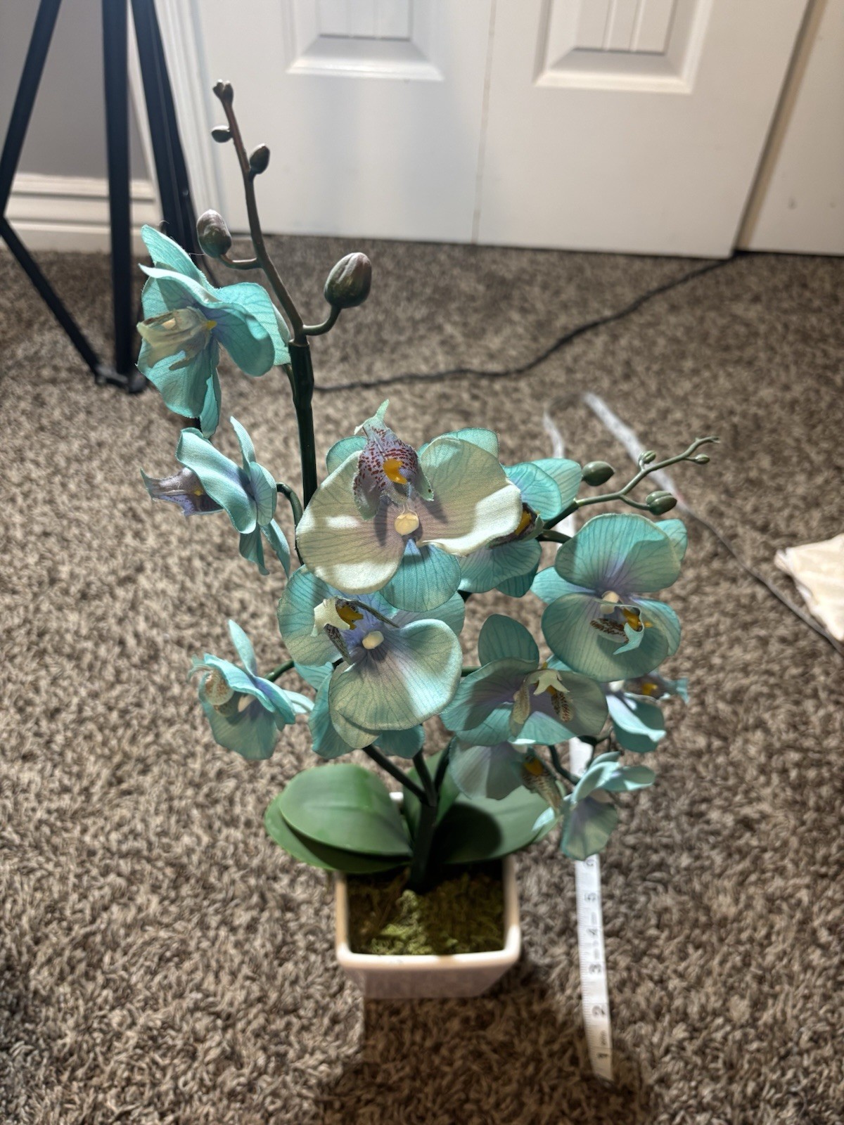 Artificial Orchid Plant in White Ceramic Pot – 23” Tall – Teal Blue Flowers