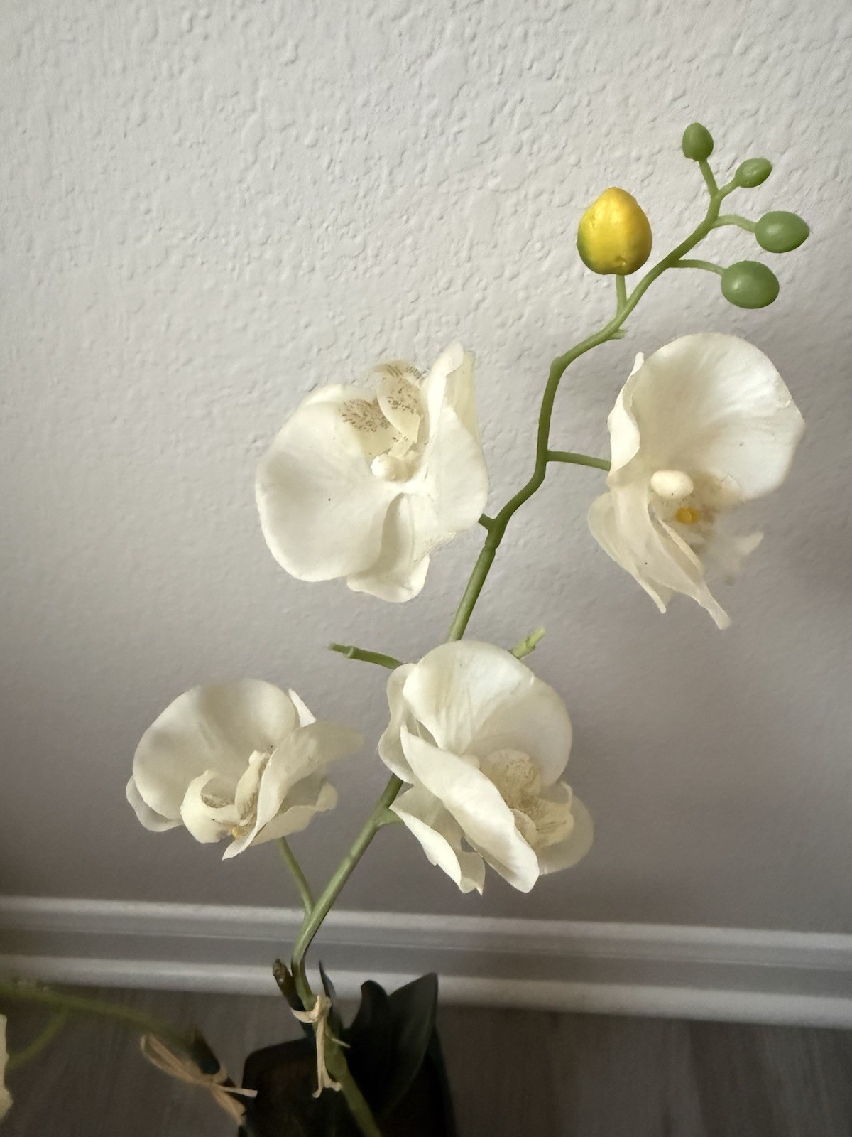 Real Touch White Phalaenopsis Potted Orchid Plant With A Black Ceramic Pot 18”