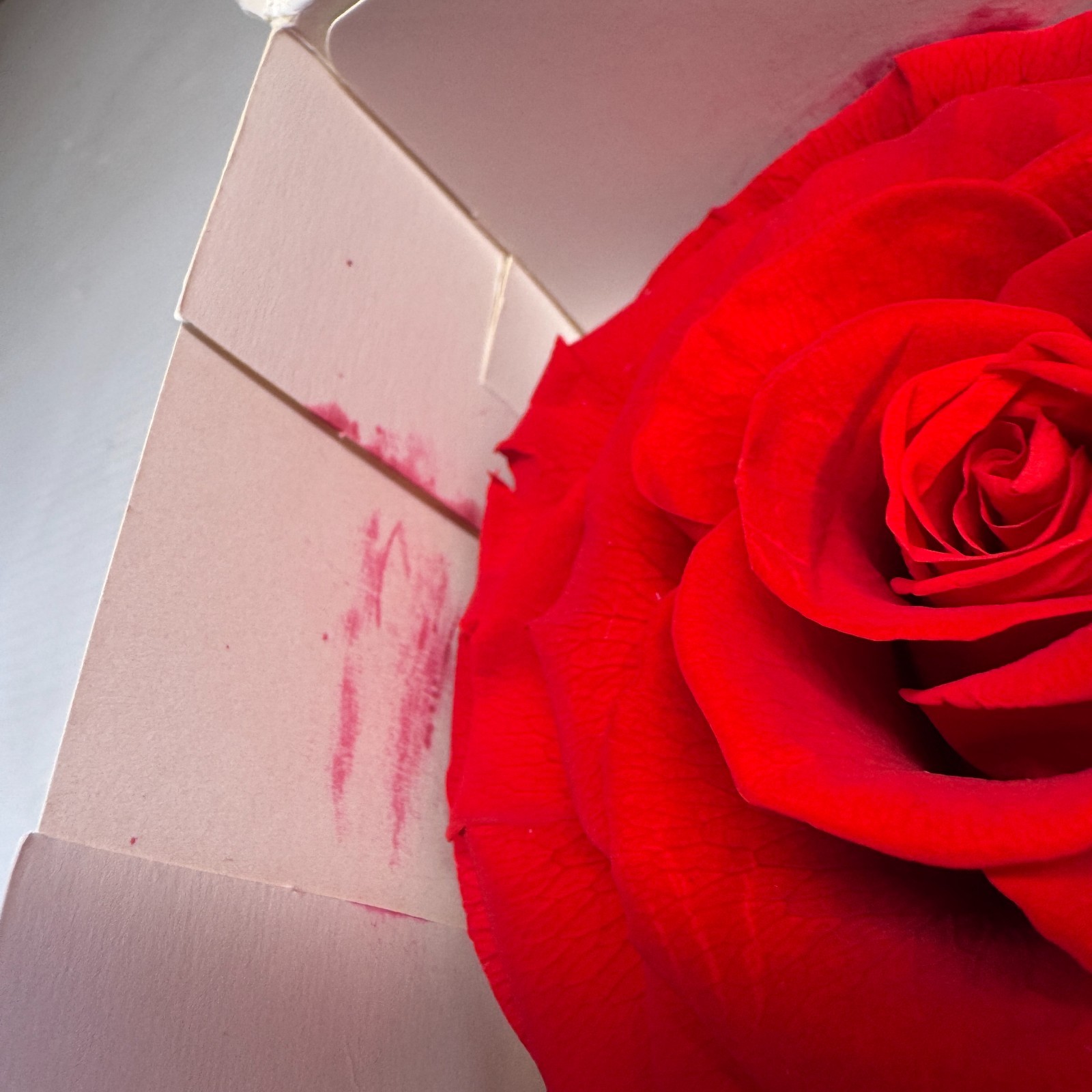 Preserved Rose Gift Box Set Red & Pink Heart Rose Floral Decor 2 Pieces