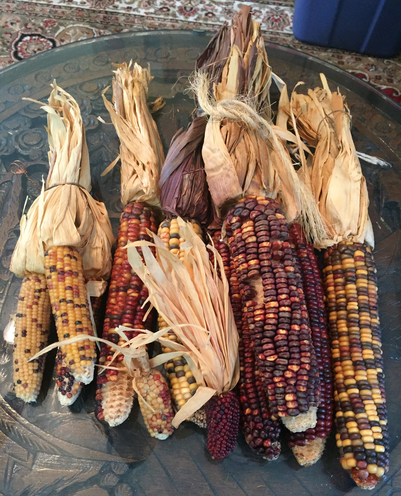 native american Indian Corn various lengths Thanksgiving Fall Decor