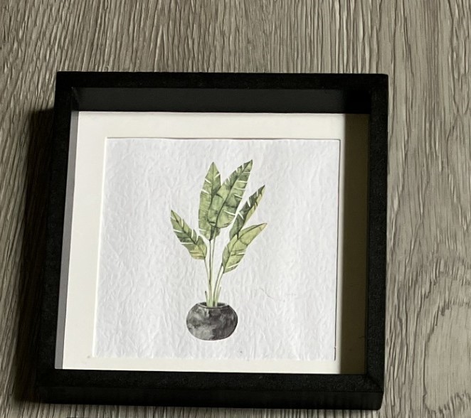 Set of 3 Small Plant Botanical Pictures 6″ x 6″ each – NEW!