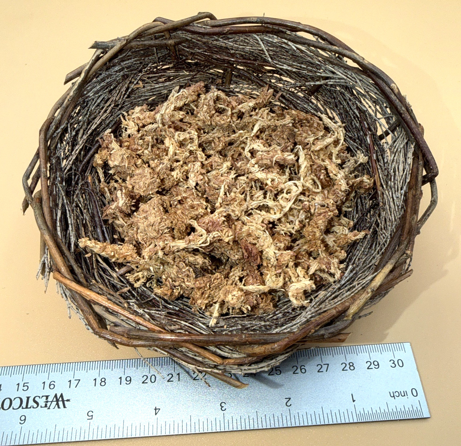 SET of 6 small Birds in Bird Nest (Man Made) – Resin or Ceramic?? – Unbranded