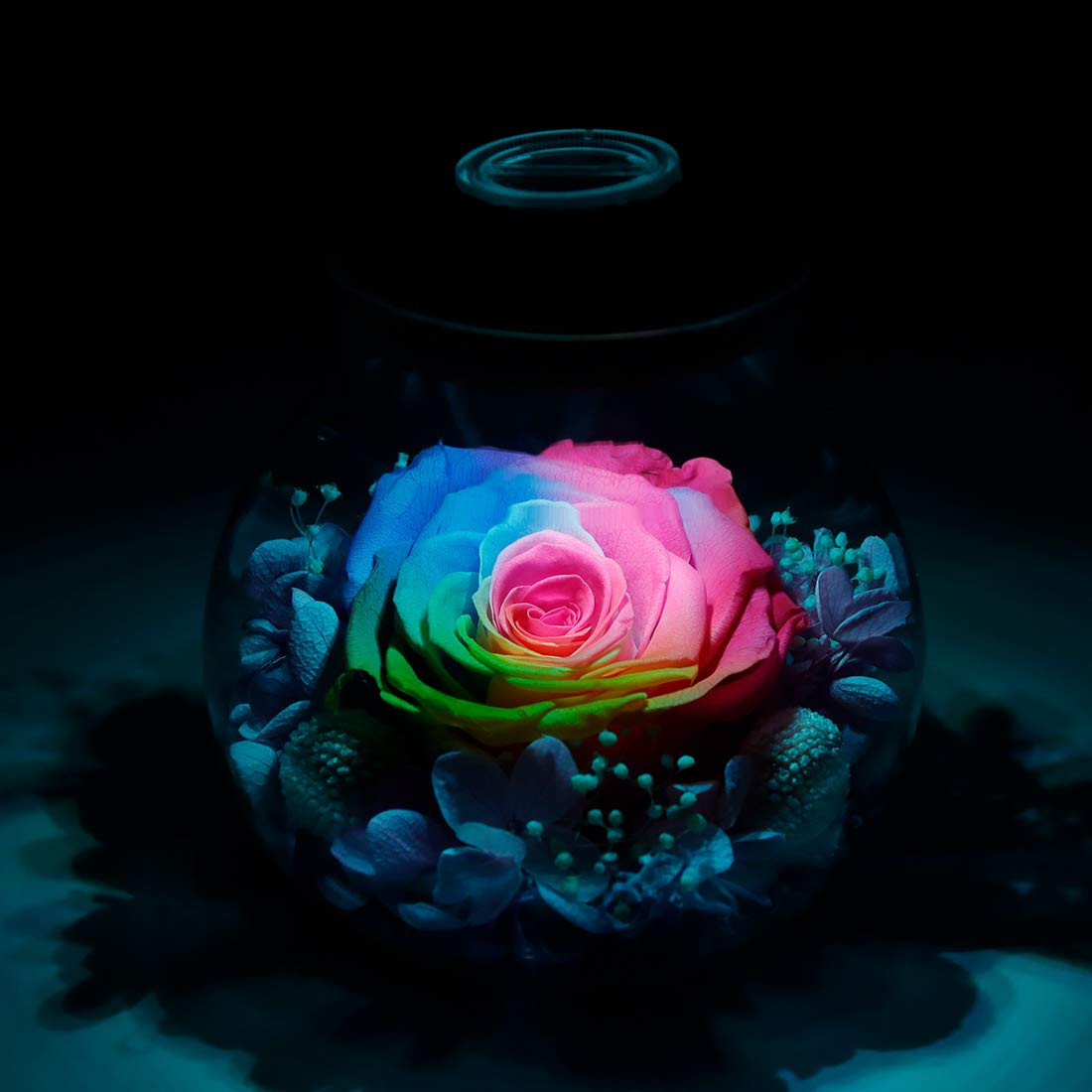 Preserved Real Roses with Colorful Mood Light Wishing Bottle,Eternal Rose，Nev…