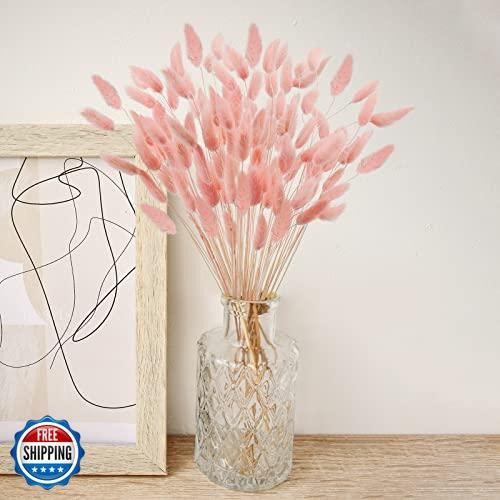 Uieke 17’’ Natural Bunny Tails Dried Flowers, 240 Pcs Dried Lagurus Ovatus, D