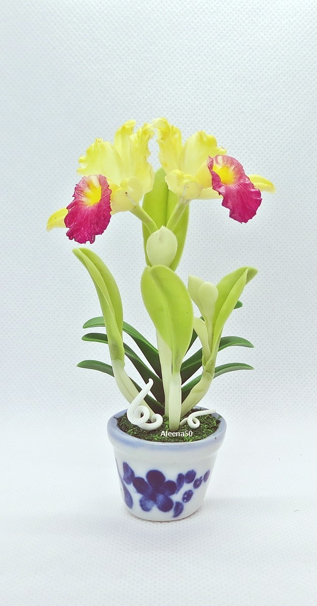 US Stock 4″H Handmade Miniature Air-Dry-Clay-Crafted Catalunya Orchid Arranged.