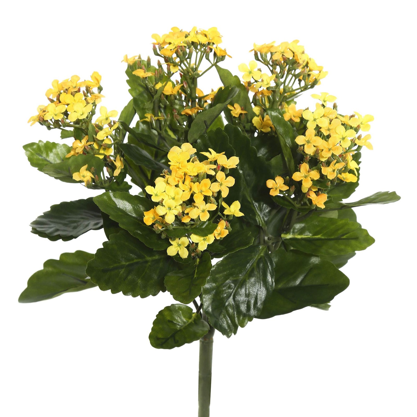Vickerman 17.25″ Contemporary Fabric Artificial Kalanchoe Bush in Yellow