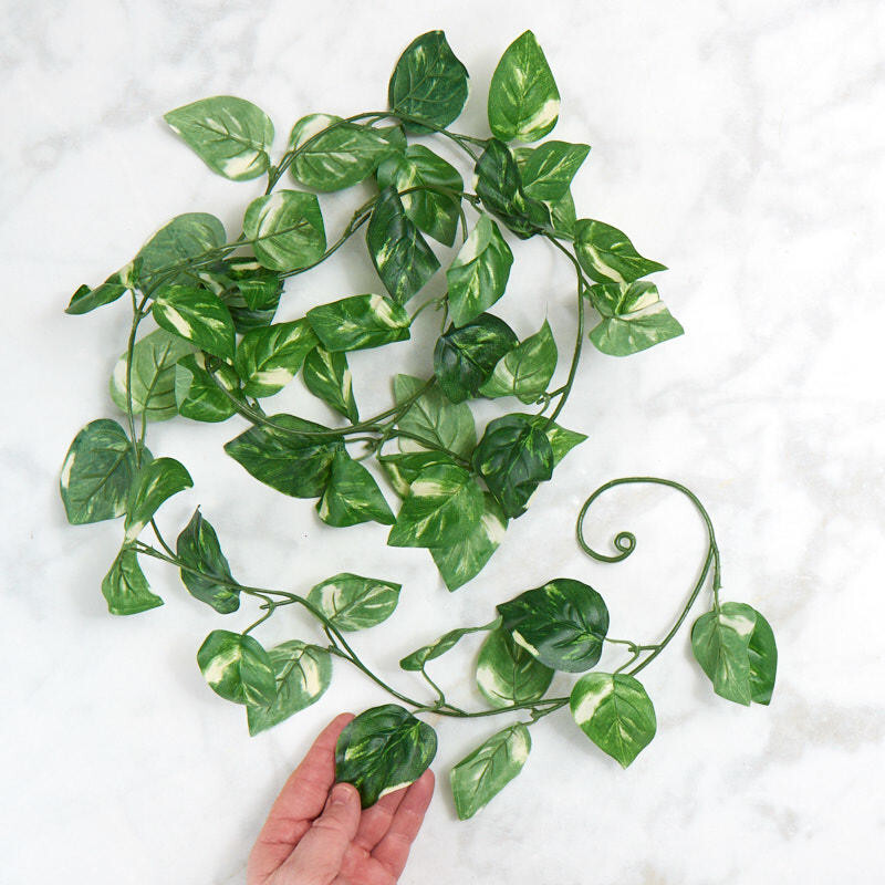 Set of 4 Variegated Poly Silk Artificial Caladium Vine Garlands, 72″ Long, each