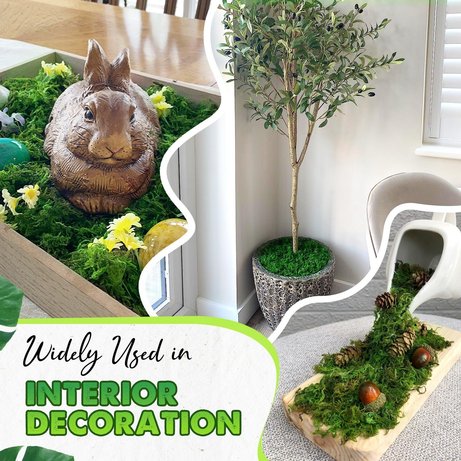 [Upgraded] Green Moss for Crafts, Real Forest Moss Potted Plants, Decorative …