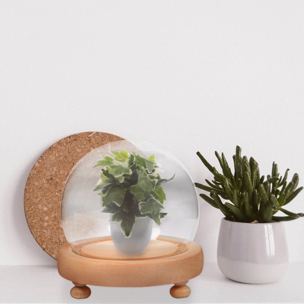 1PC Handle Cloche with Wood Base Glass Cloche with Base Clear Glass Dome Stand