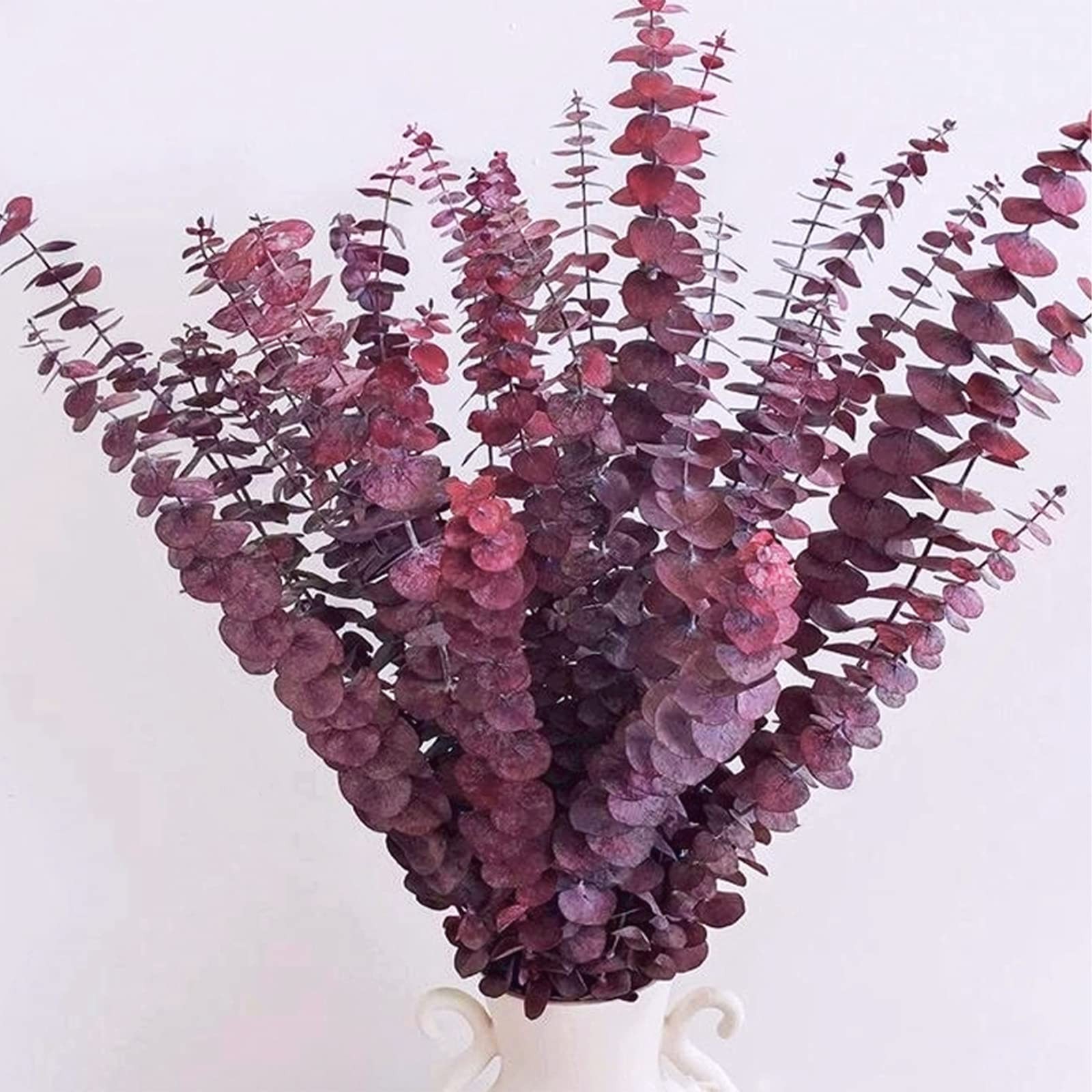 16Pcs Dried Red Eucalyptus Stems 17”, Real Preserved Branches